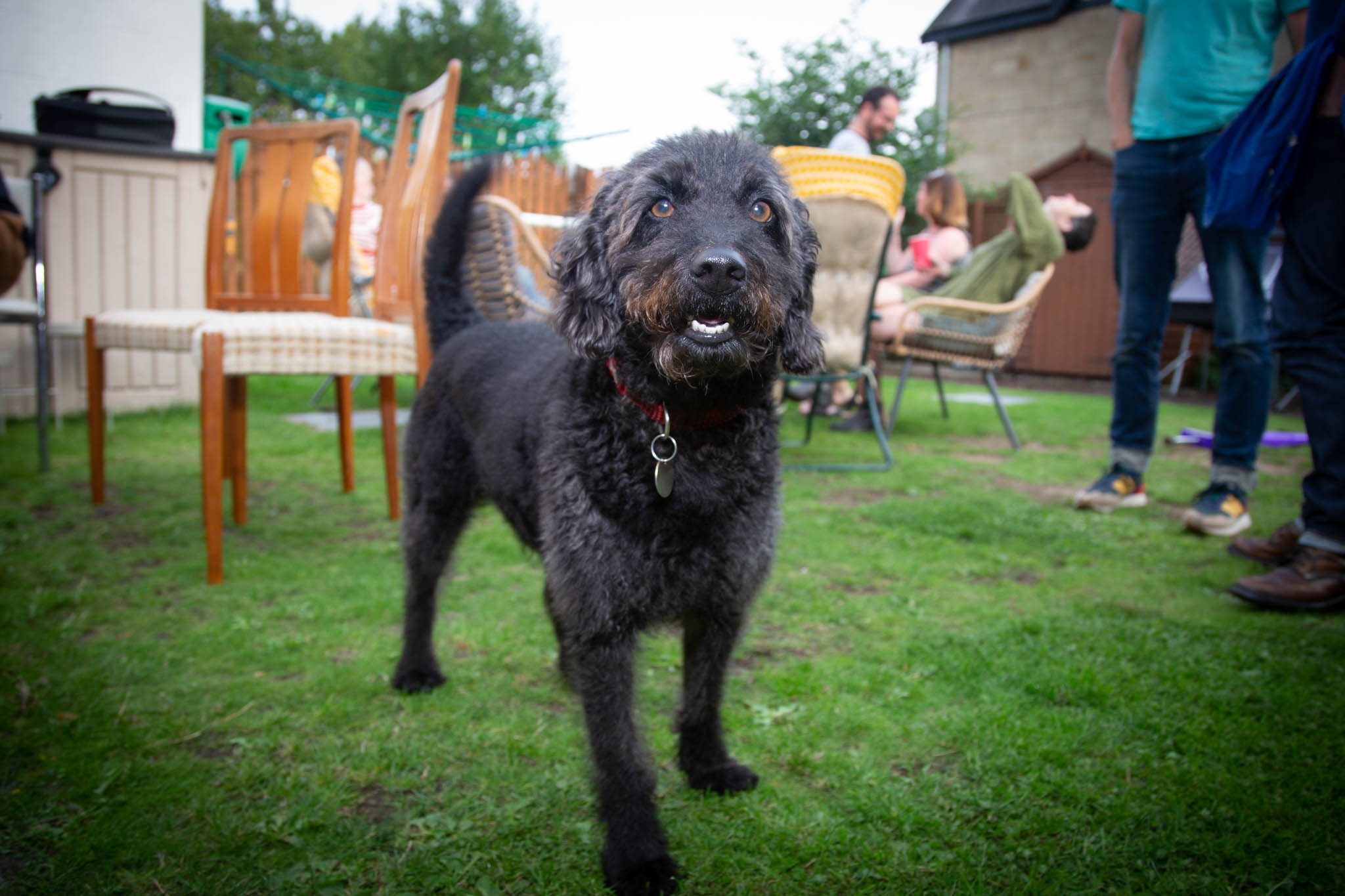 Stephen's Surprise 50th Birthday Party