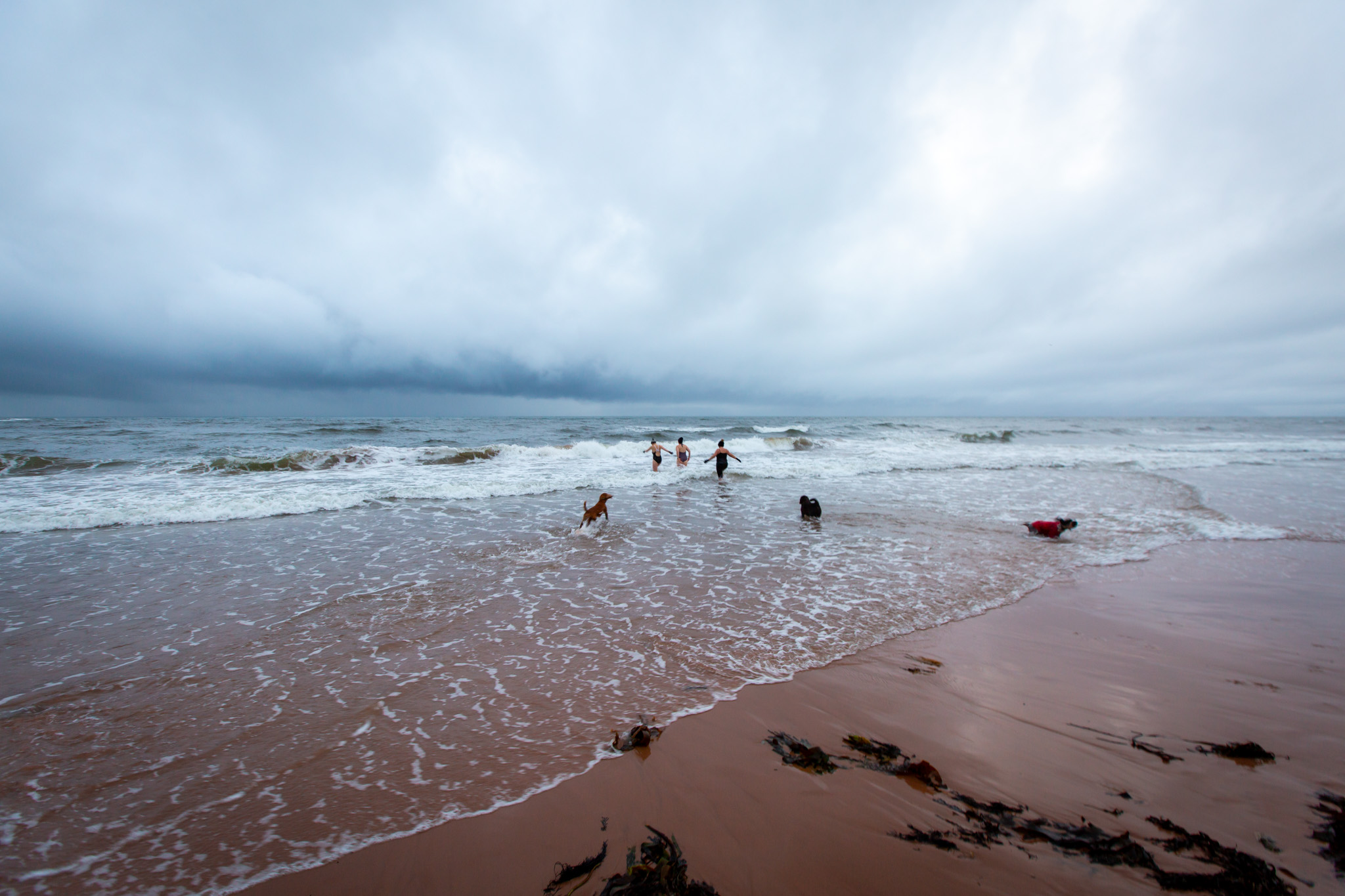 Christmas bbq 2022 39634