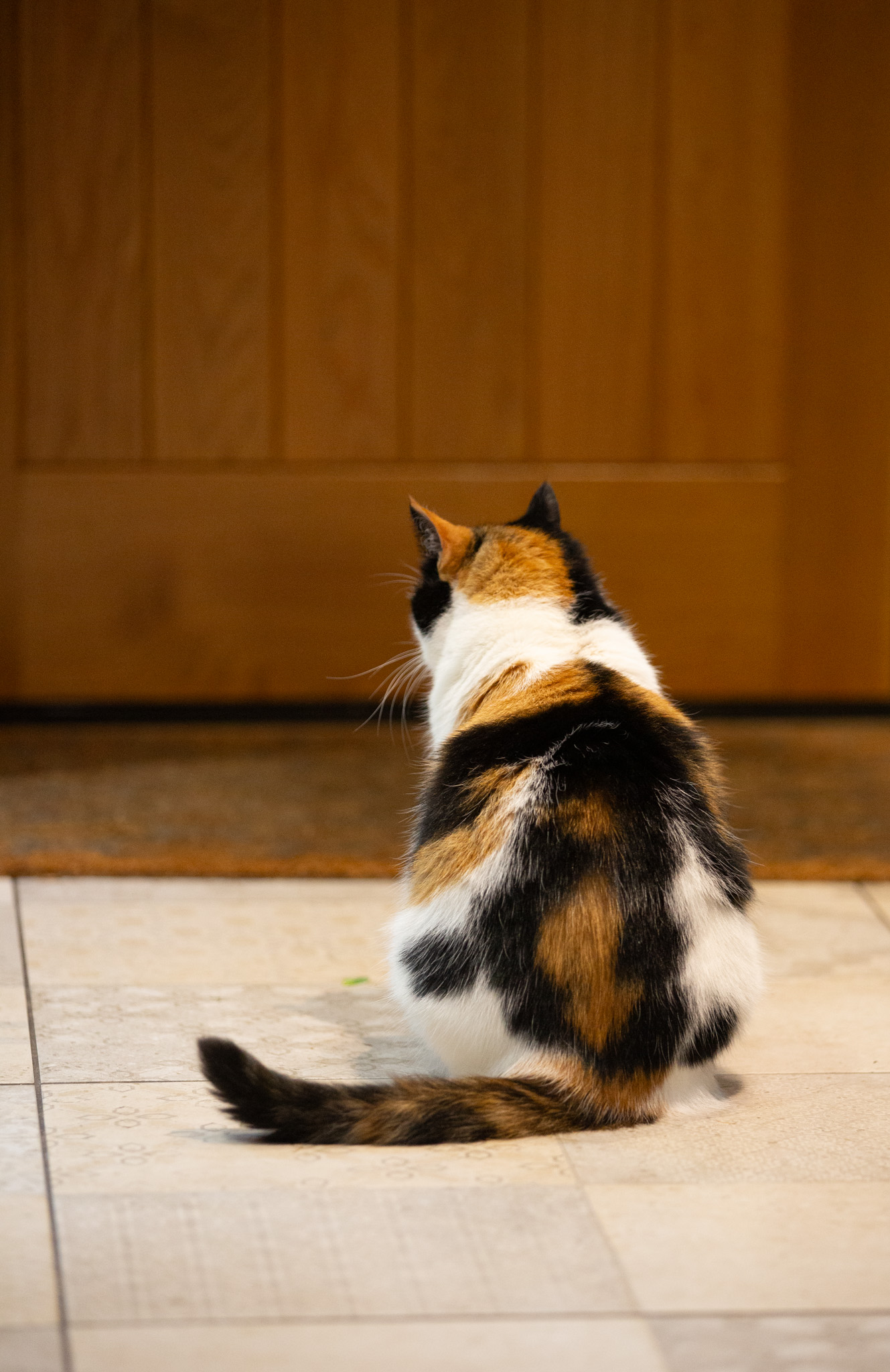 Family Get Together In Edinburgh